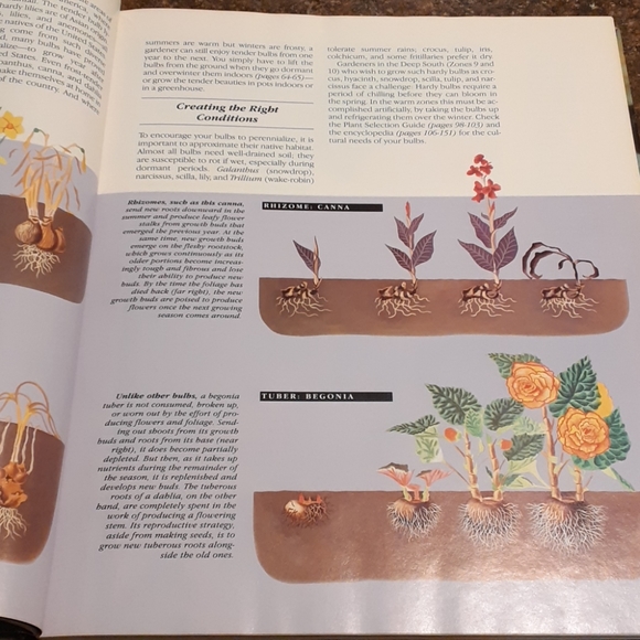 "Bulbs" The Time Life Complete Gardener Book - Picture 7 of 9